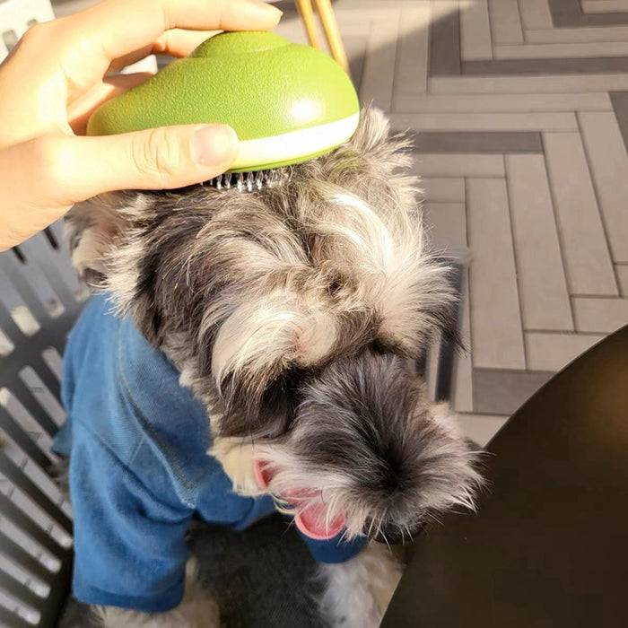 Portable Cat Grooming Massage Brush One-Button Remove Floating Hair Scraper Cats Dogs Pet Self Cleaning Tool Accessories