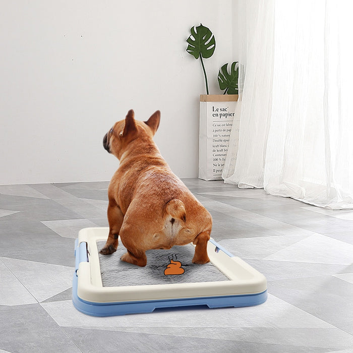 Portable Dog Training Toilet