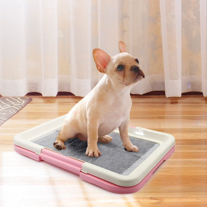 Portable Dog Training Toilet