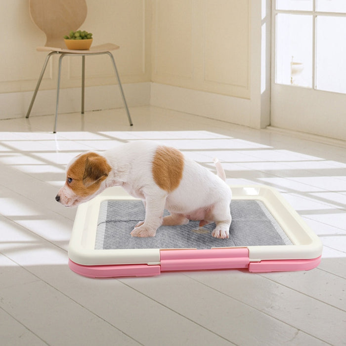 Portable Dog Training Toilet
