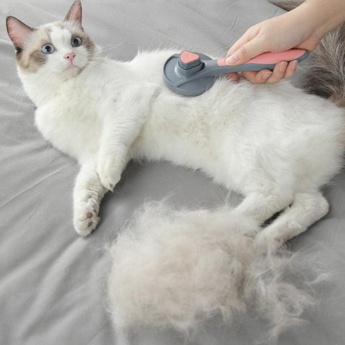 Cat Comb Hair Removal
