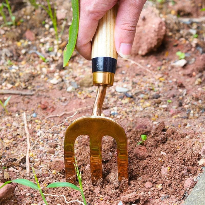 3 Pcs Garden Tools Set